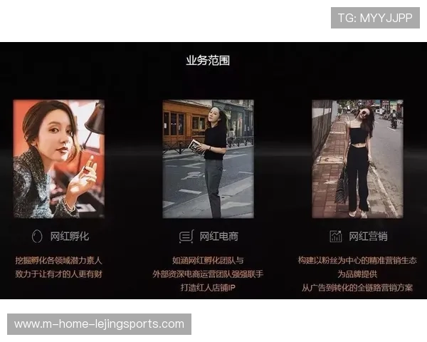 垂直细分领域的IP价值在本阶段得到释放 满足了小众圈层的精准营销 垂直细分领域的IP价值在本阶段得到释放 满足了小众圈层的精准营销